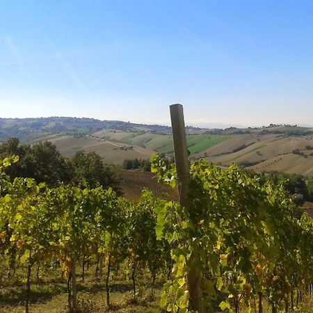 Agriturismo Le Vigne Fermo Exteriör bild