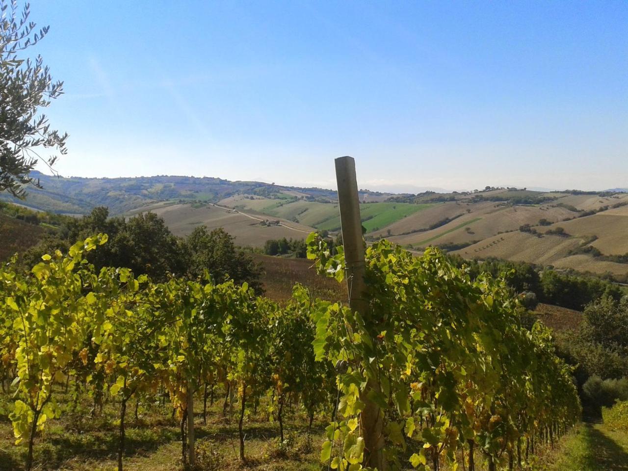 Agriturismo Le Vigne Fermo Exteriör bild