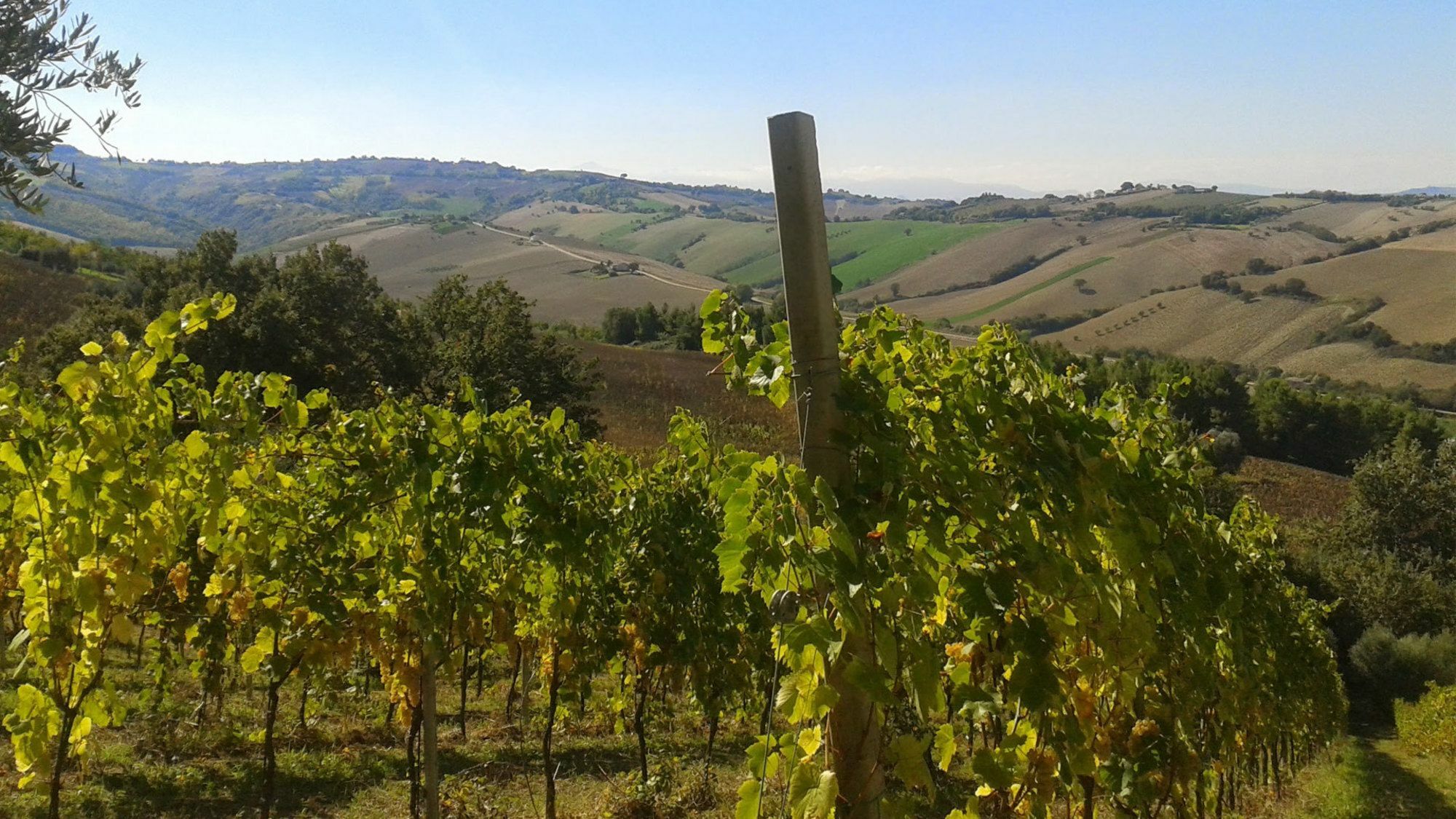 Agriturismo Le Vigne Fermo Exteriör bild